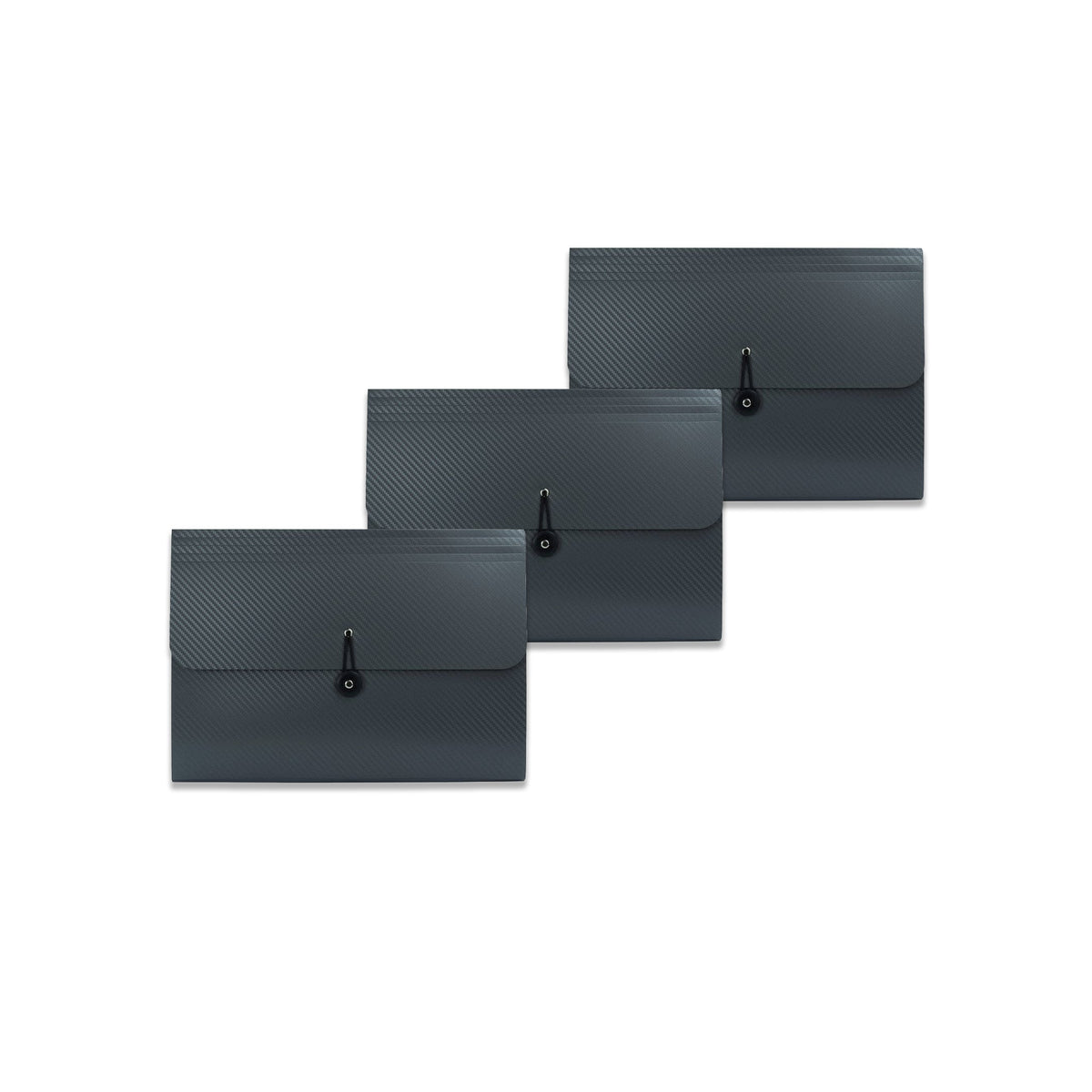 Elegante Fächermappe – 13 Innentaschen & 12 Tabs