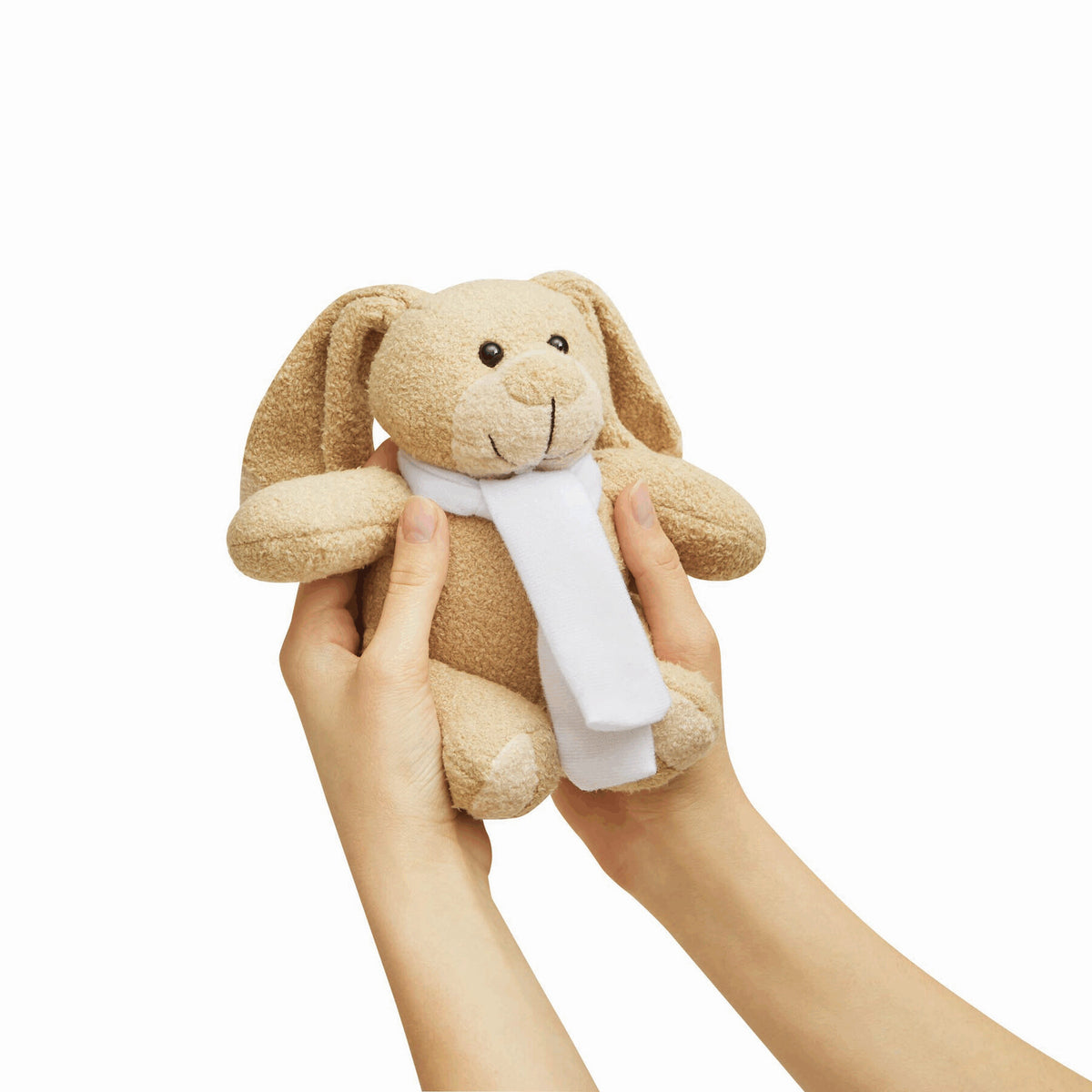 Plush Bunny PAUL