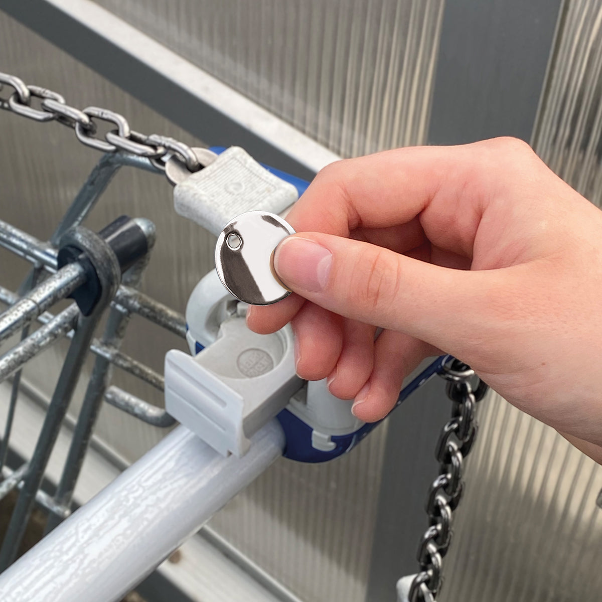 Metal Carabiner "Sigma"