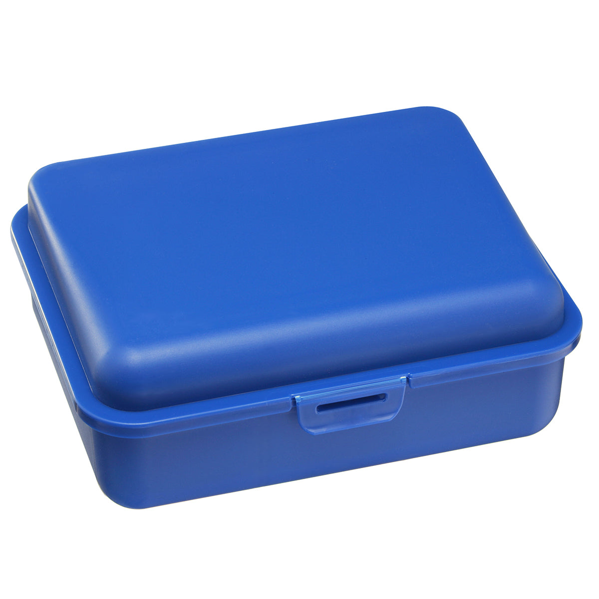 Lunchbox, large