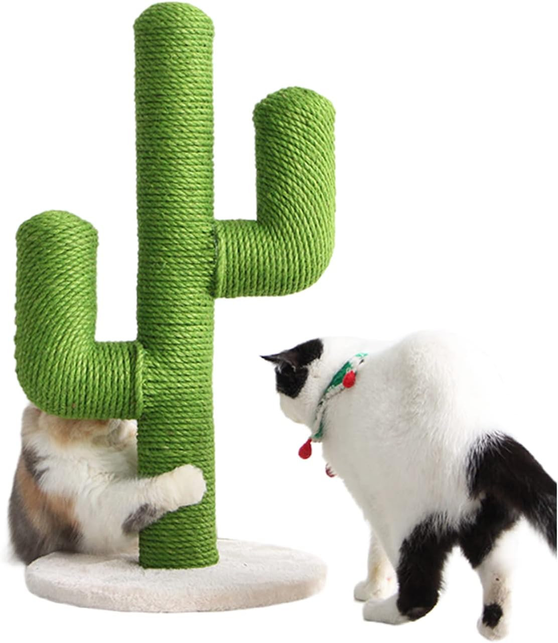 Grüner Kaktus Katzenkratzbaum in einem Anwendungsbeispiel