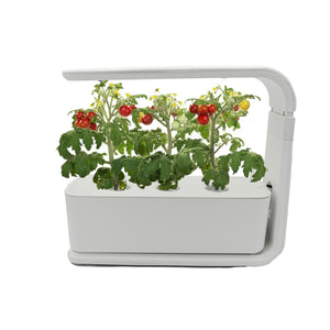 Weisser Indoor-Mini Garten in einem Anwendungsbeispiel mit Tomaten