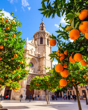 Grosses Gebäude zwischen Orangenbäumen