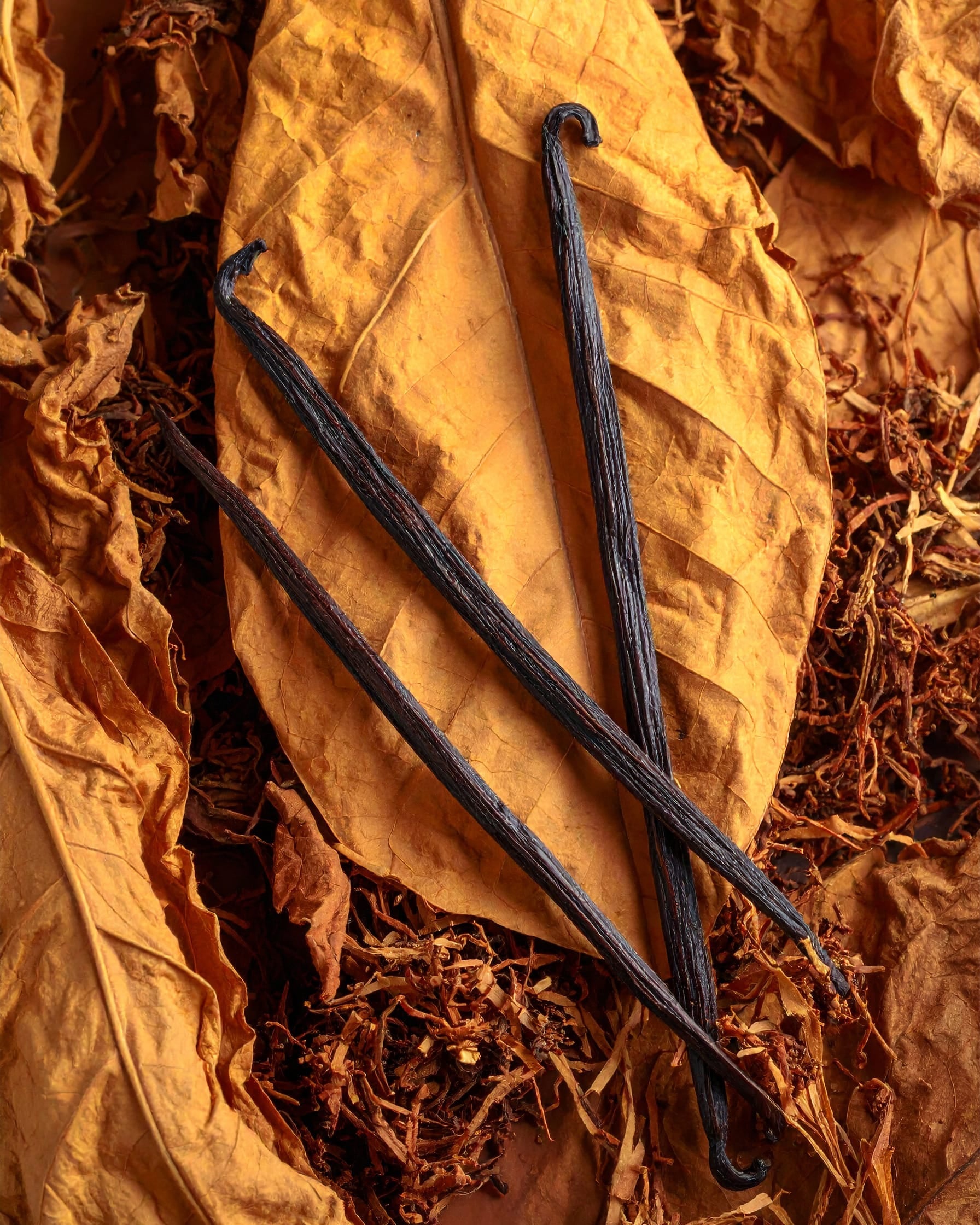 Drei Vanillestangen auf gelbem Blatt