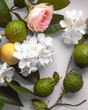 Weisse Blumen, eine pinke Rose, Limetten und eine Zitrone