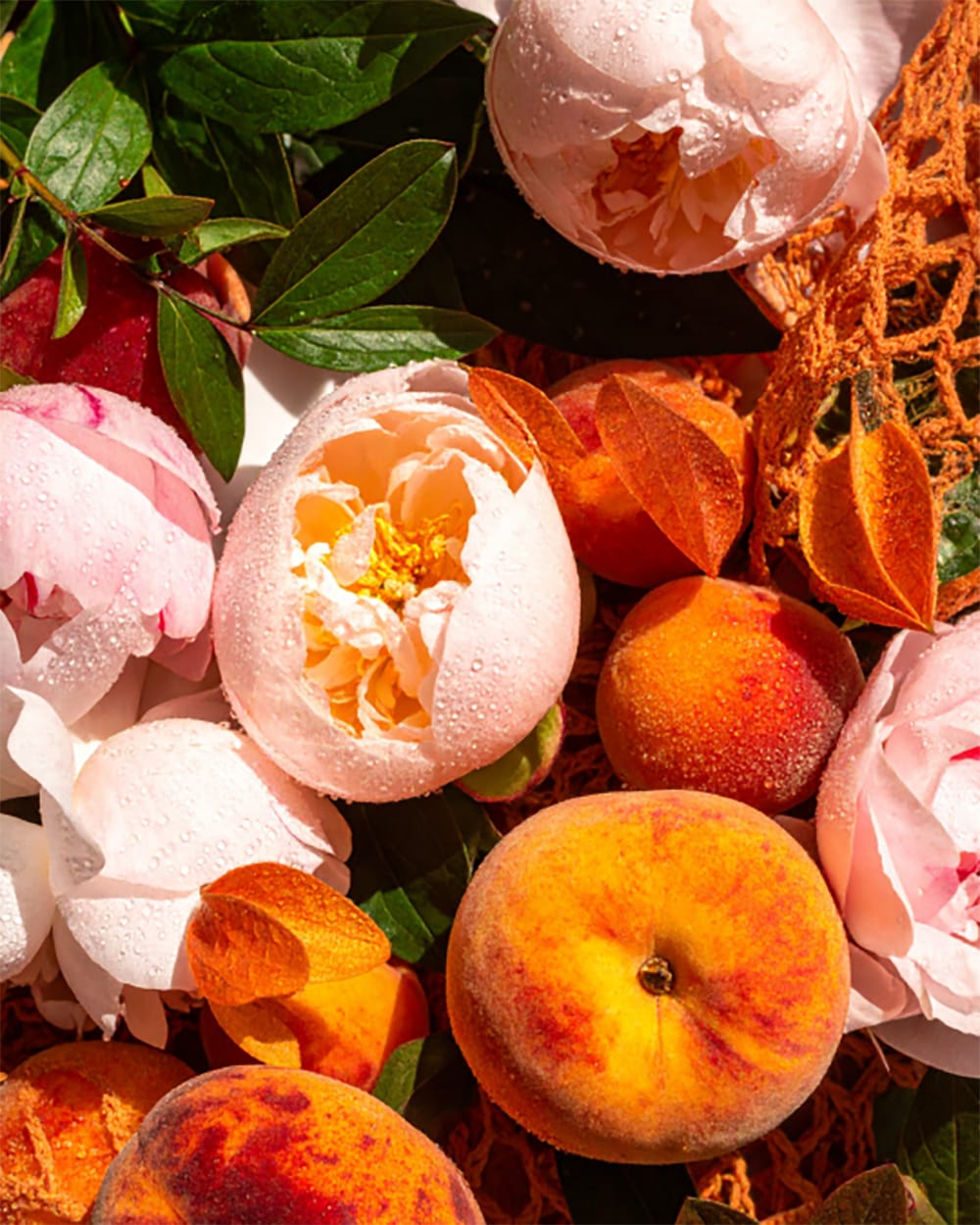 Pfirsiche mit pinken Blumen