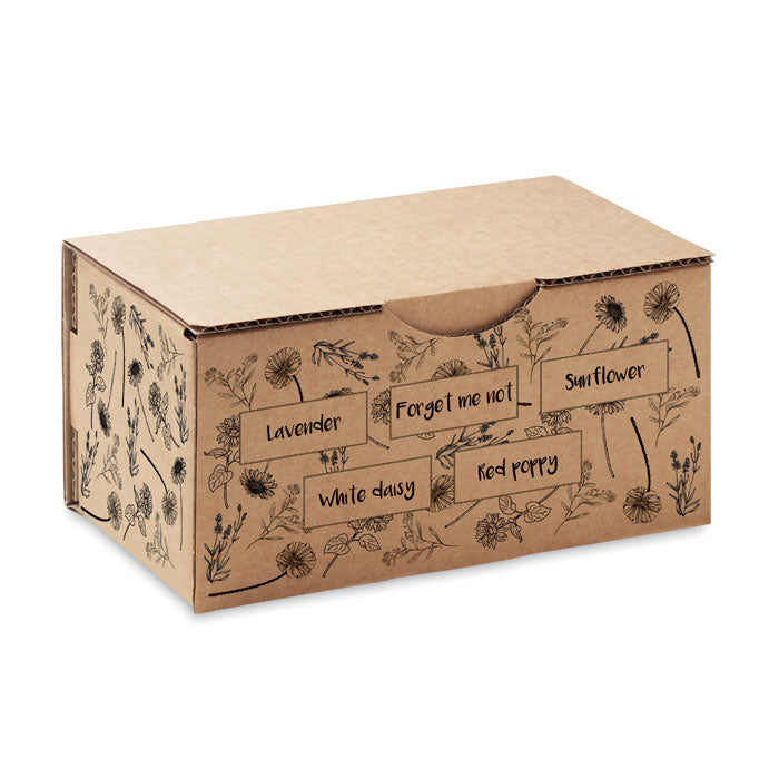 Kit de graines fleurs d'été
