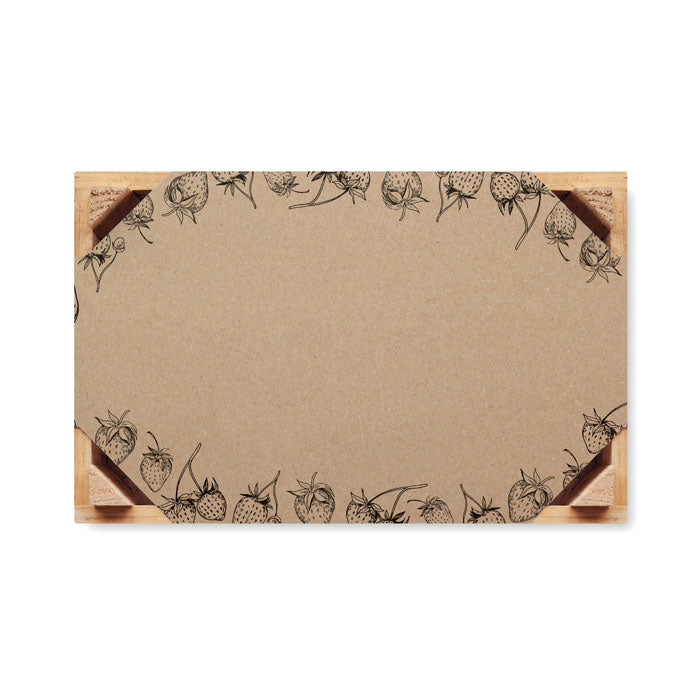 Kit de graines Fraise