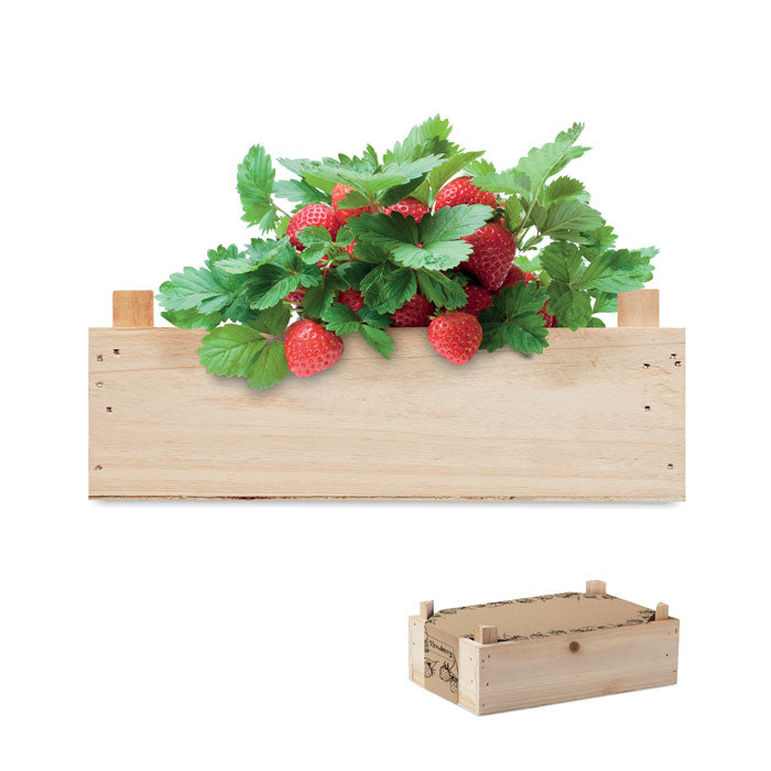 Kit de graines Fraise