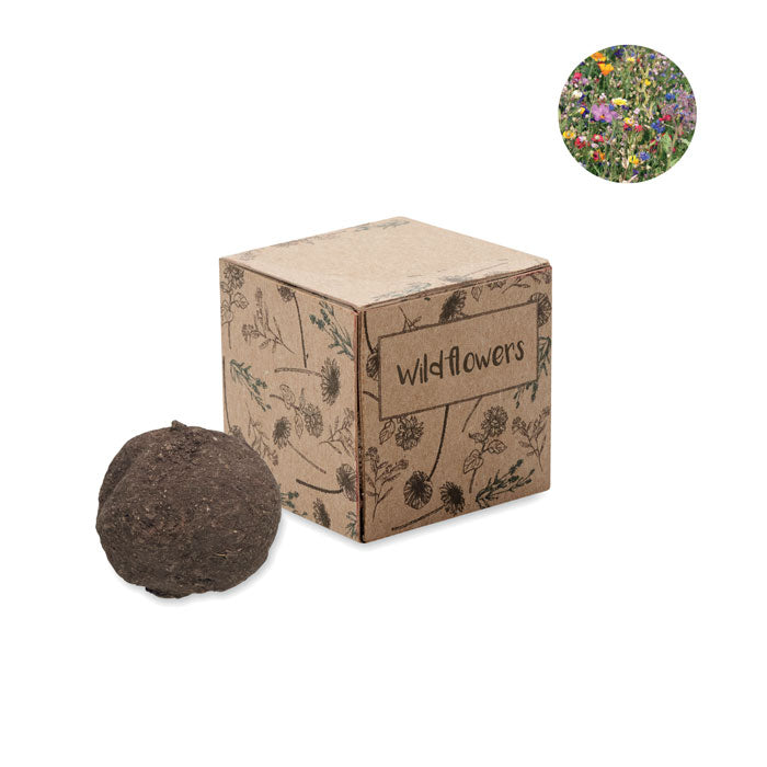 Wildflower Seed Set