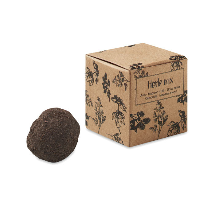 Seed Bomb Herbs