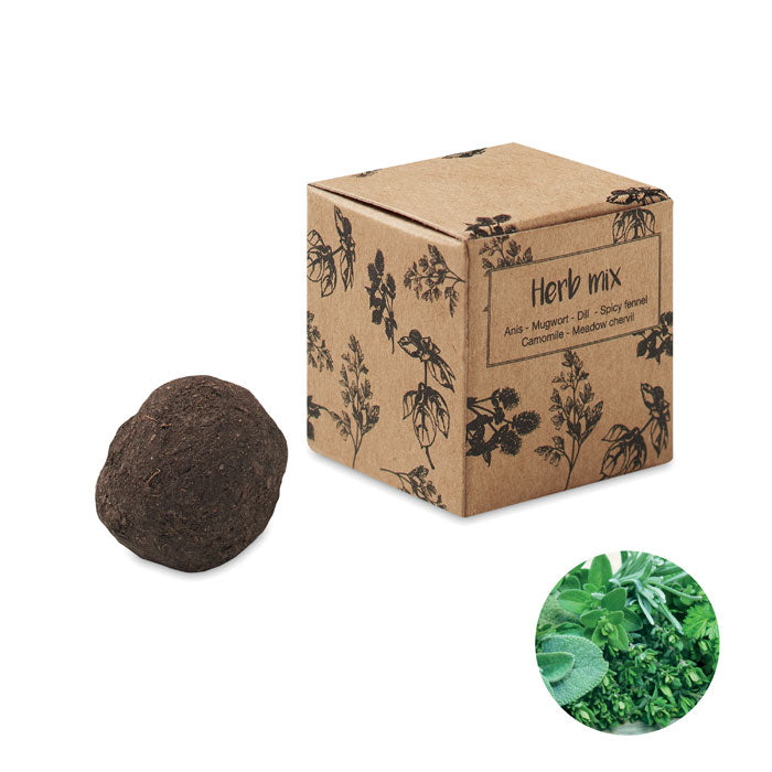 Seed Bomb Herbs