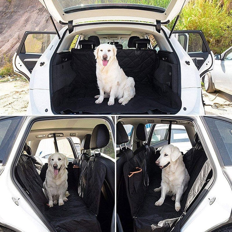 Wasserdichte, schwarze Hundedecke in einem Autokofferraum mit einem Hund