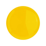 Flying Disc "Jupiter"