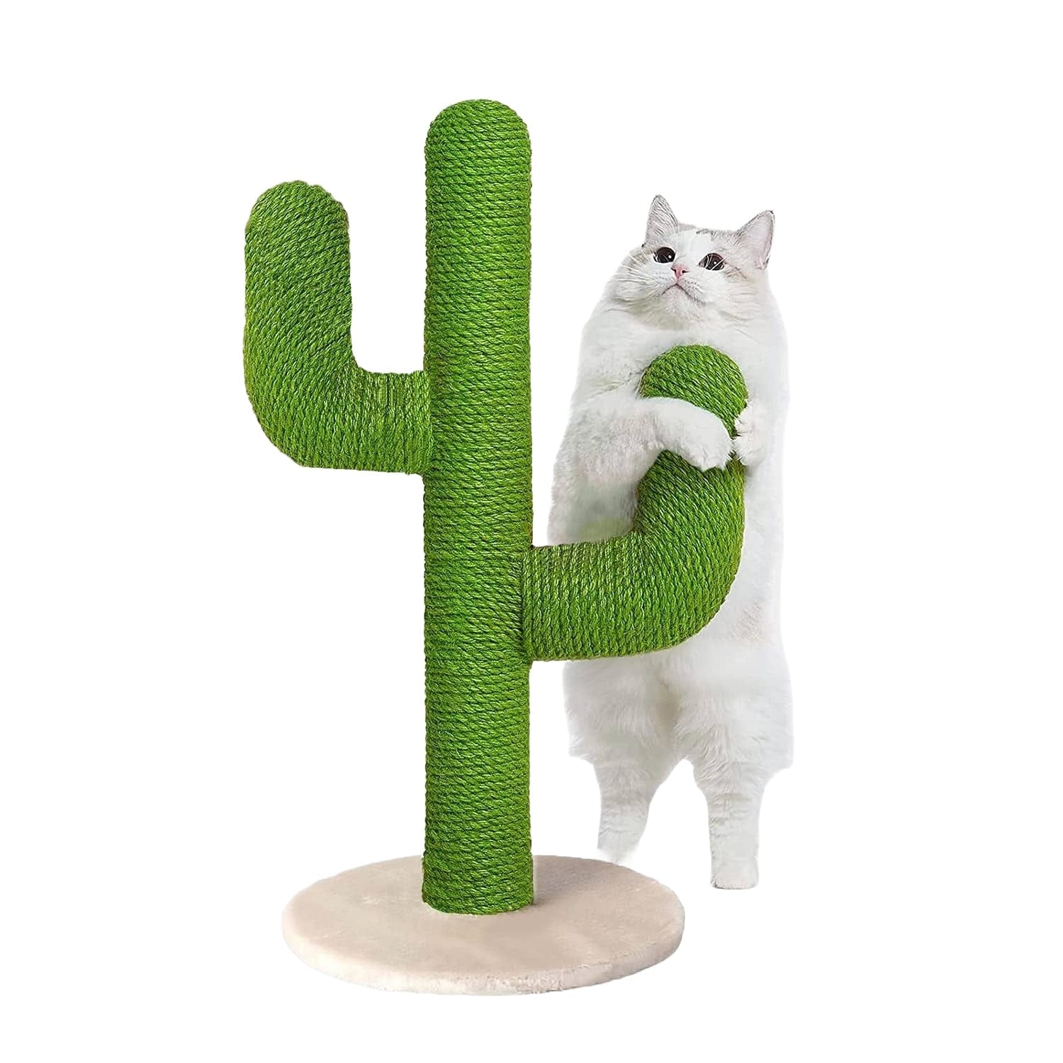 Grüner Kaktus Katzenkratzbaum mit weisser Katze