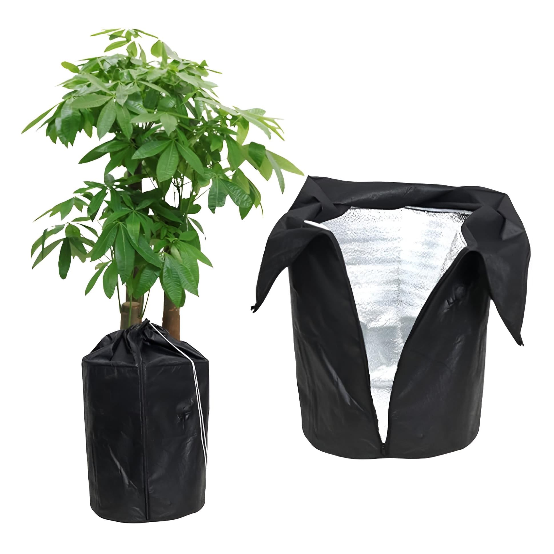 Schwarzer Topschutz mit Anwendungsbeispiel