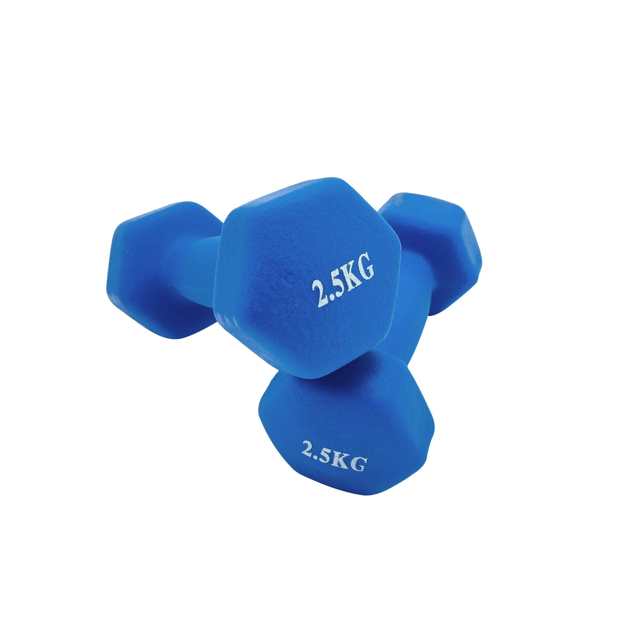 Blaue Gummihanteln mit Weisser "2.5KG" Aufschrift