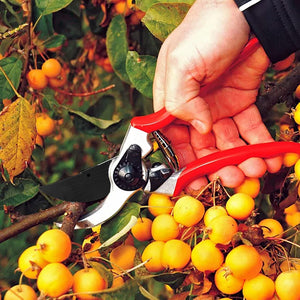 Rote Gartenschere mit silberner und schwarzer Klinge in einem Anwendungsbeispiel mit einem Ast