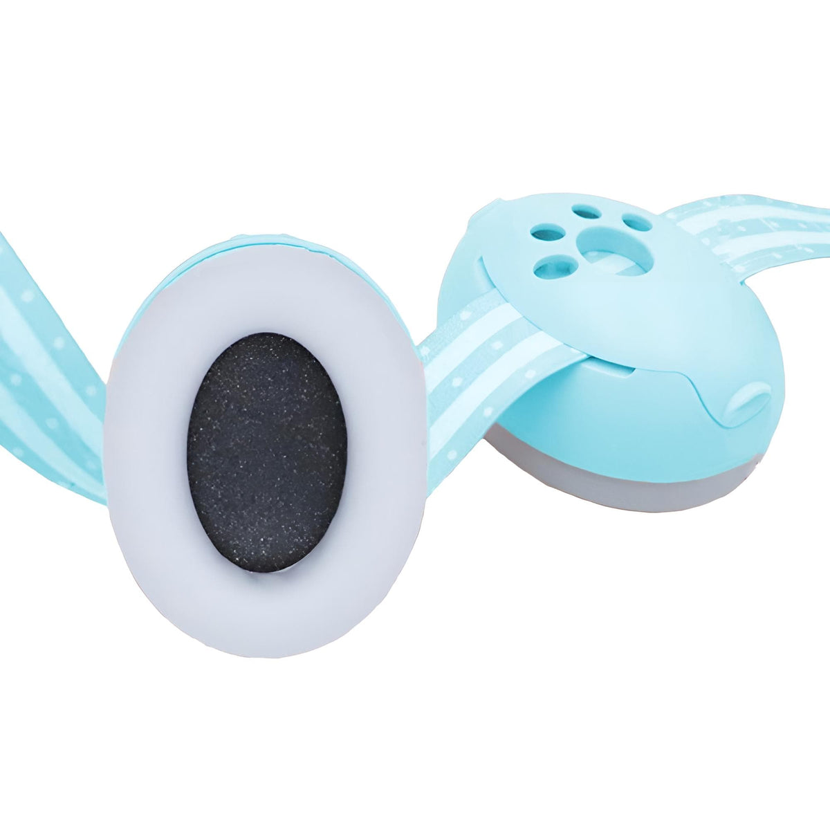 Ohrmuscheln von aussen und innen gezeigt