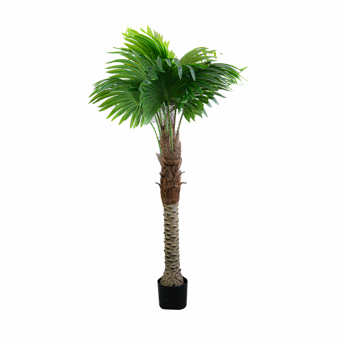 Künstliche Palme mit schwarzem Topf