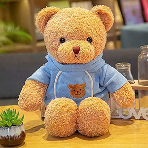 Beiger Teddybär mit blauem Pullover auf einem Tisch aufgestellt