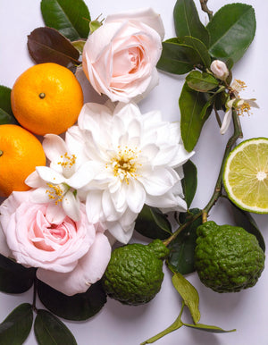 Limetten, Mandarinen und weiss-pinke Blumen