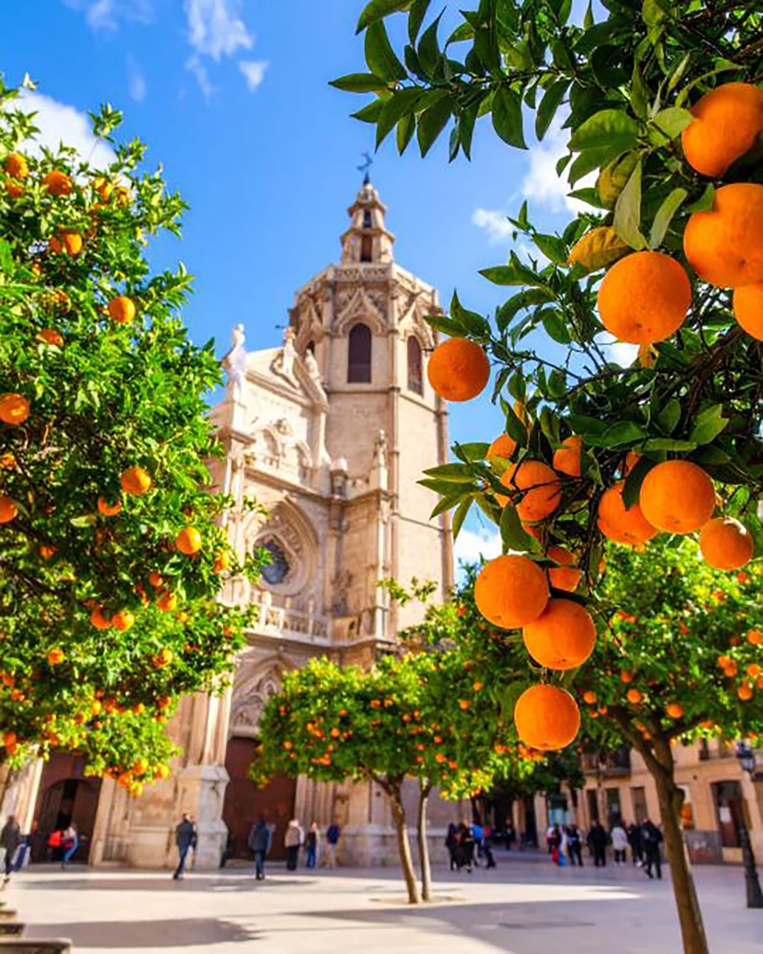 Grosses Gebäude zwischen Orangenbäumen