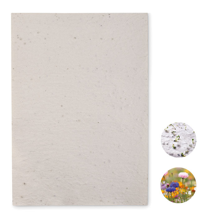 Papier ensemencé de fleurs sauvages A4