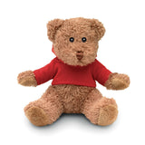 Ours en peluche avec sweat à capuche