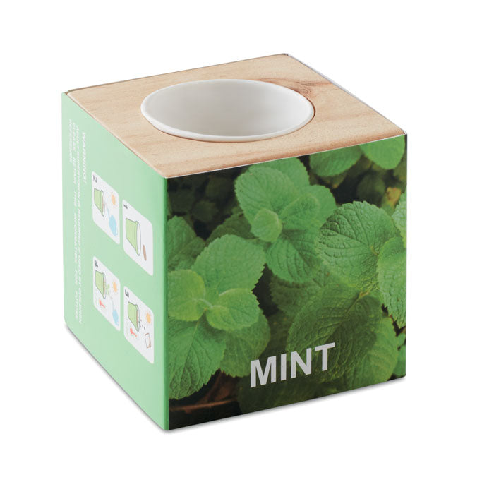 Herb Growing Kit "Mint"